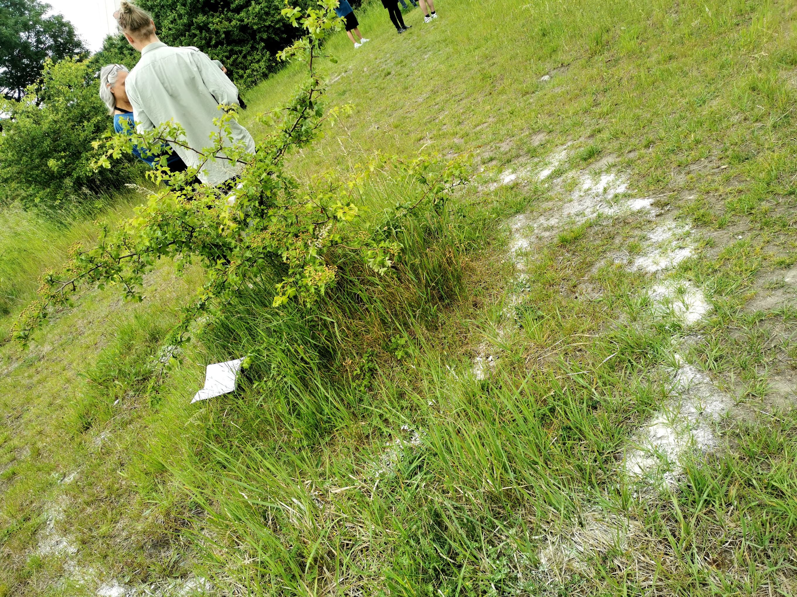 Educational Partners