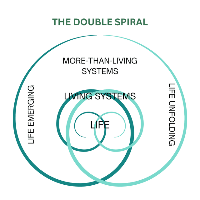 Regenerative Systems Thinking in Practice
